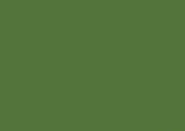 RAL 6025 Папоротниково-зелёный