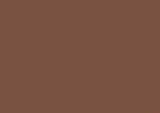 RAL 8002 Сигнальный-коричневый