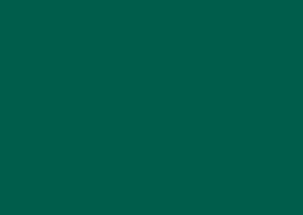 RAL 6036 Перламутровый-опаловый-зелёный