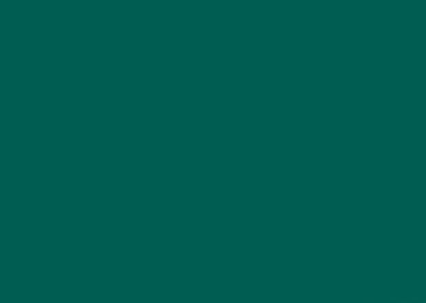 RAL 6026 Опаловый-зелёный