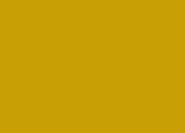 RAL 1005 Медово-жёлтый
