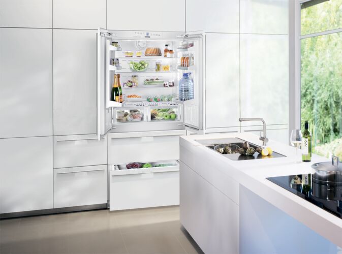 Холодильники Холодильник Liebherr ECBN 6256, фото 4