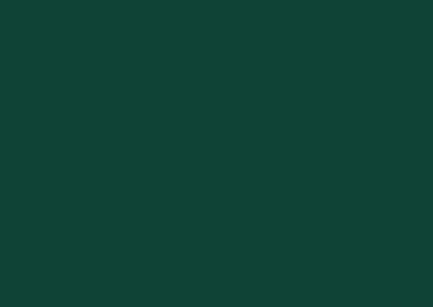 RAL 6005 Зелёный-мох