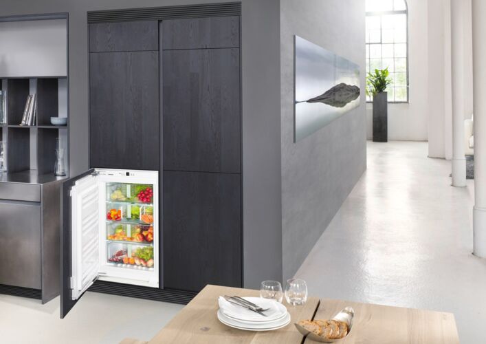 Холодильники Холодильник Liebherr SIBP 1650, фото 2