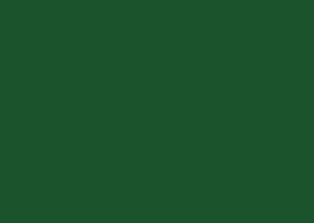 RAL 6035 Перламутрово-зелёный